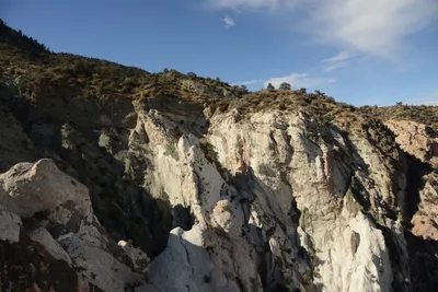 DSC_6285 (Large).JPG